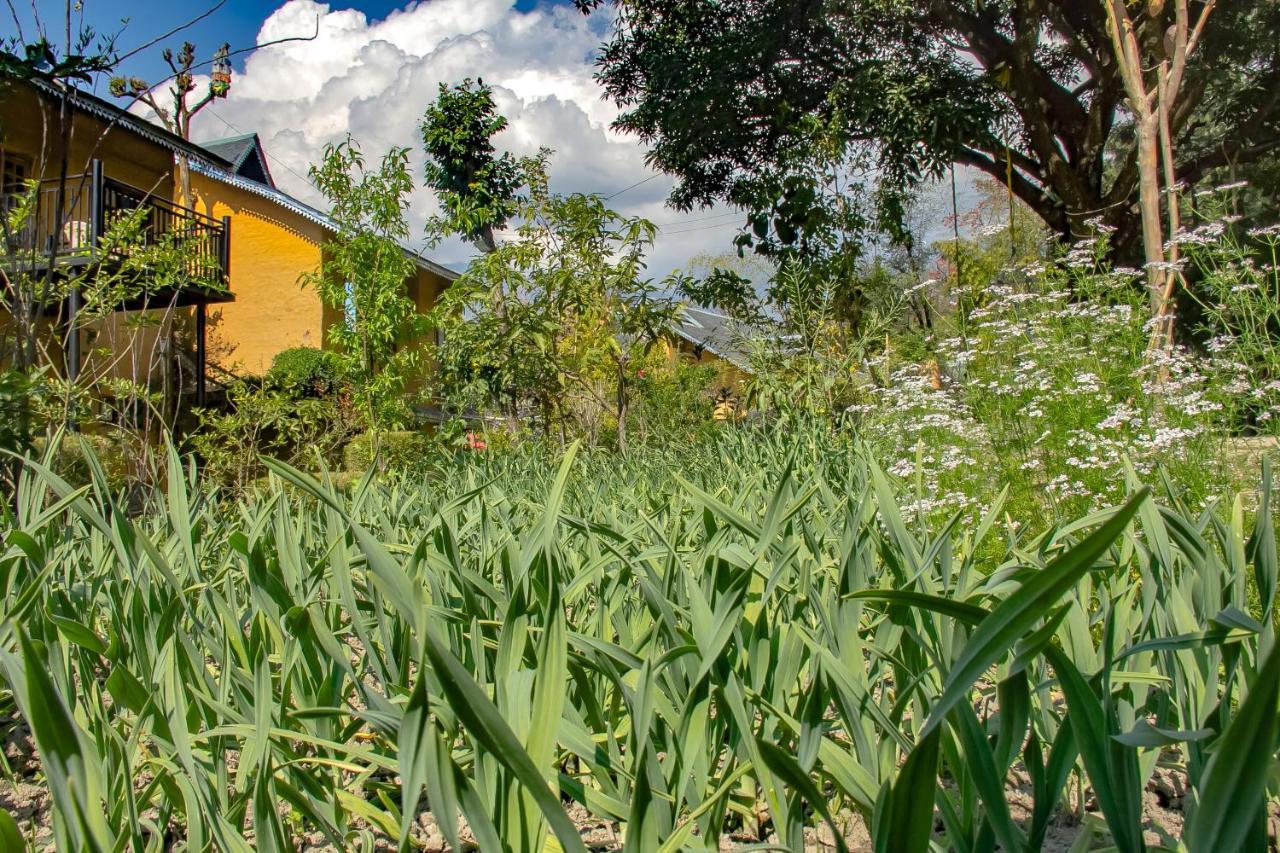 Prakriti Aalay - Riverside Mountain View Boutique Eco Resort Дармсала Екстер'єр фото
